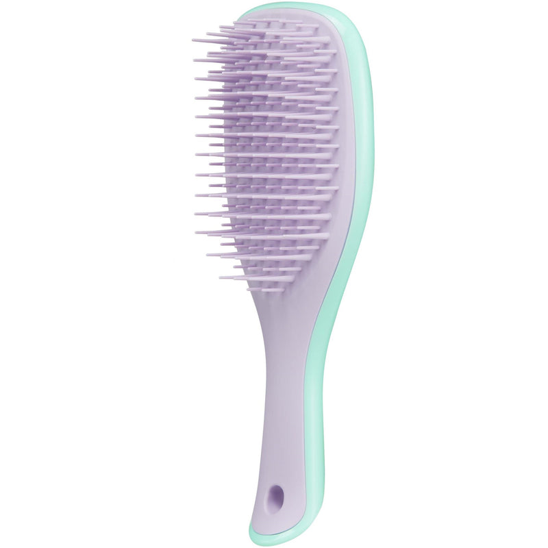 Tangle Teezer Wet Detangler Mini - Wisteria Leaf  