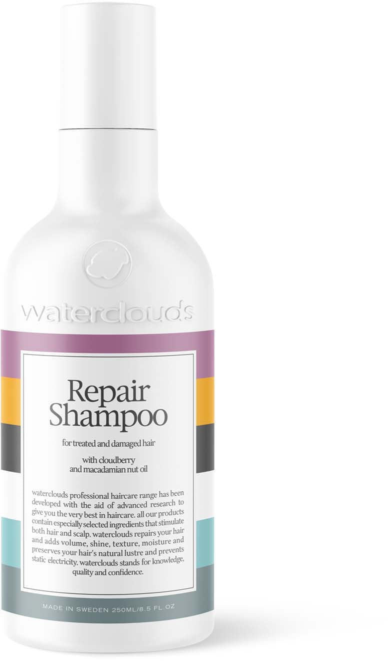 Waterclouds Repair Shampoo 250ml